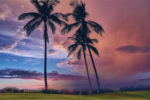 Luau